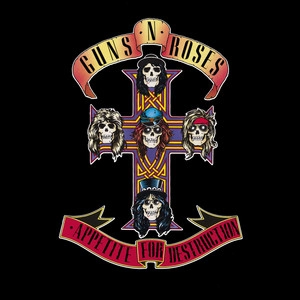 Album cover Appetite For Destruction