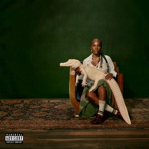 Album cover Alligator Bites Never Heal (Extended)