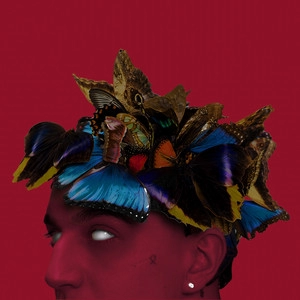 Album cover PUŁAPKA NA MOTYLE