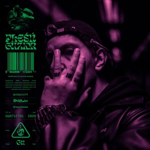 Album cover PLEŚŃ