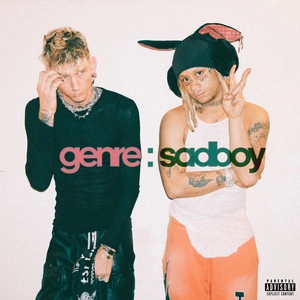 Album cover genre : sadboy