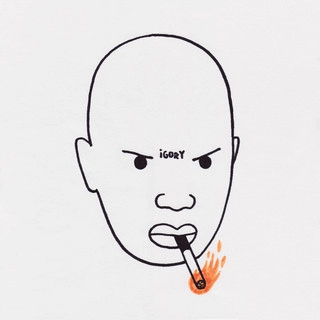 Artist cover igory