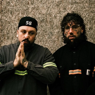 Artist cover $uicideboy$