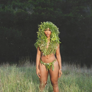 Обложка SZA