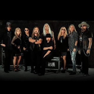 Artist cover Lynyrd Skynyrd