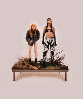 Artist cover Icona Pop