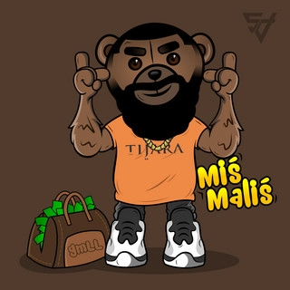 Artist cover Miś Maliś