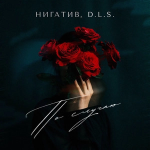 Artist cover D.L.S.