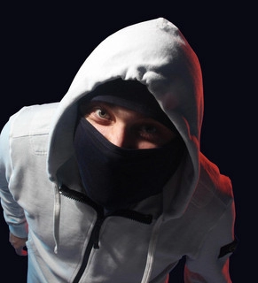 Artist cover Лисицын