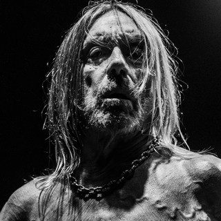 Artist cover Iggy Pop