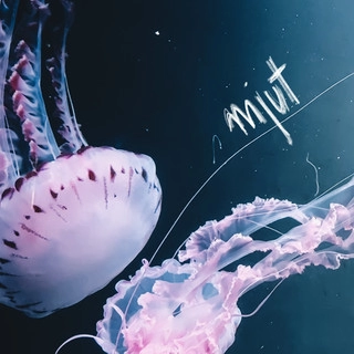 Artist cover Mjut