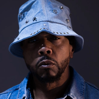 Artist cover Timbaland