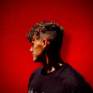 Artist cover Rex Hooligan