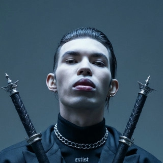 Artist cover VAE VISTIC