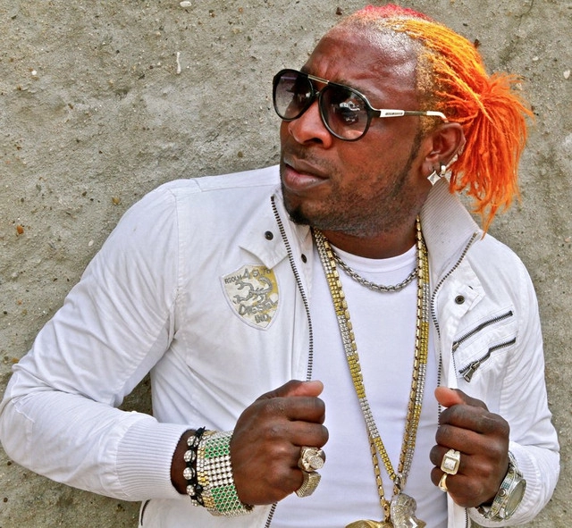 Artist cover Elephant Man