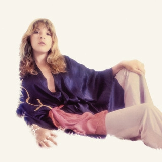 Artist cover Stevie Nicks