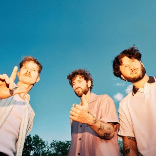 Artist cover The Band CAMINO