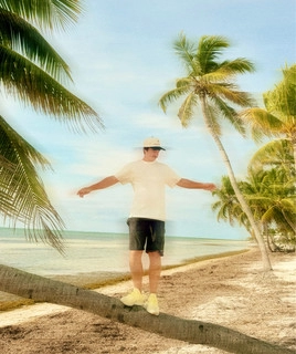 Artist cover The Palm Tree Boy