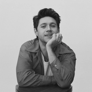 Artist cover Niall Horan