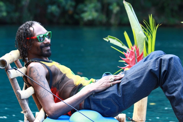 Artist cover Snoop Lion