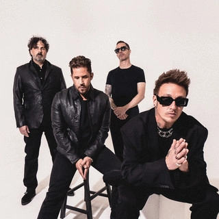 Artist cover Papa Roach