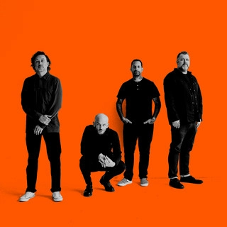 Artist cover Rise Against