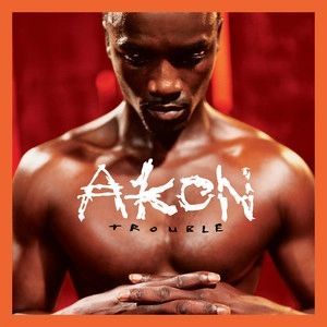 Artist cover Styles