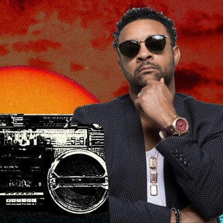 Artist cover Shaggy