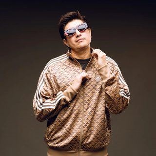 Artist cover ZHR