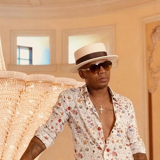 Artist cover Plies