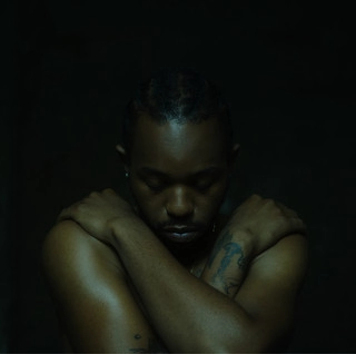 Artist cover Montell Fish