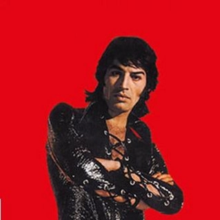 Artist cover Sandro