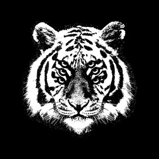 Artist cover Royal Blood