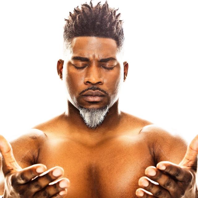 Artist cover David Banner