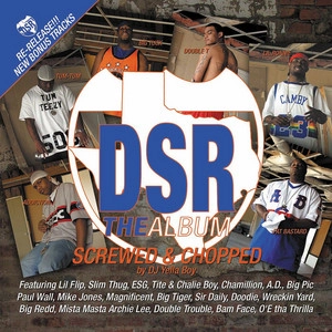 Artist cover DJ Yella