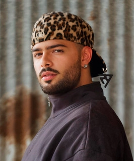 Artist cover PEDRO SAMPAIO
