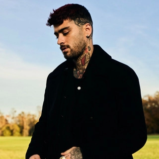 Artist cover ZAYN