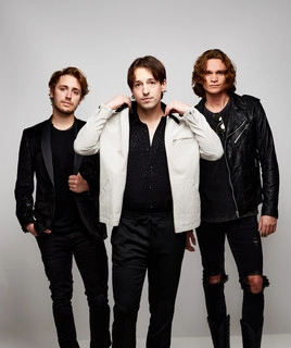 Artist cover The Revelries
