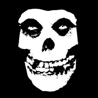 Artist cover Misfits