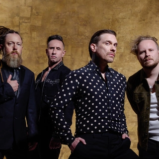 Artist cover Shinedown