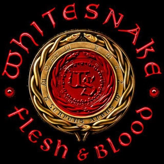 Artist cover Whitesnake