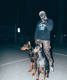 Artist cover Portion