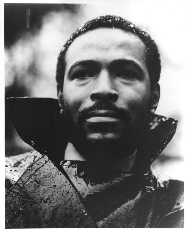 Artist cover Marvin Gaye