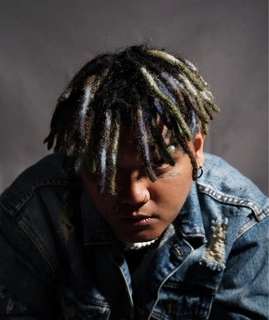 Artist cover thehopend