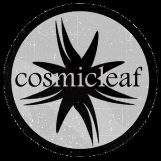 Artist cover Cosmicleaf