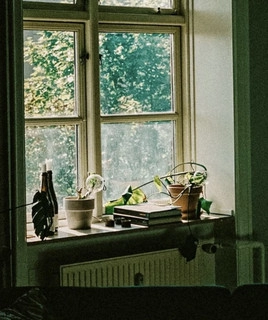 Artist cover tezpu