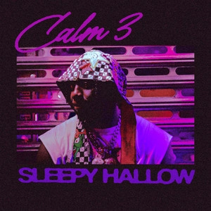 Track cover Calm 3