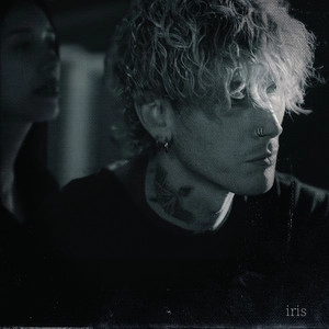 Track cover iris