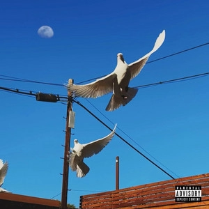 Track cover your name forever