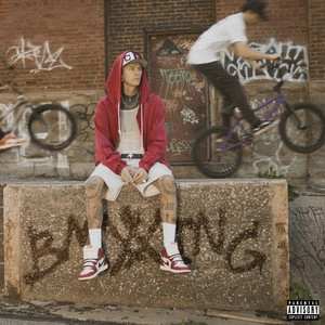 Track cover BMXXing